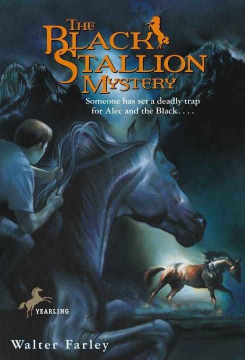 Produktbild: The Black Stallion Mystery