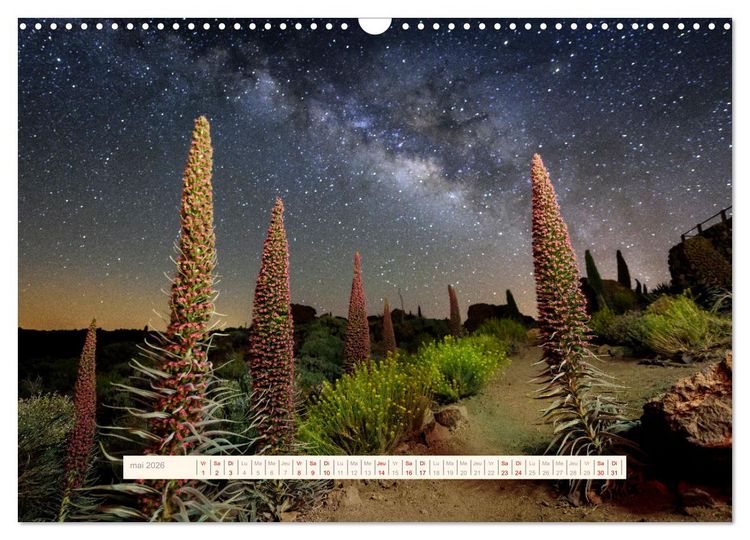 Produktbild: La Magie de T&eacute;n&eacute;riffe (Calendrier mural 2026 DIN A3 vertical), CALVENDO calendrier mensuel