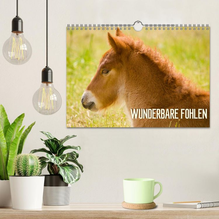 Produktbild: Wunderbare Fohlen (Wandkalender 2026 DIN A4 quer), CALVENDO Monatskalender