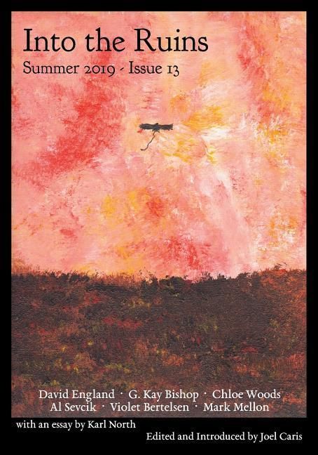 Produktbild: Into the Ruins: Summer 2019 (Issue 13)