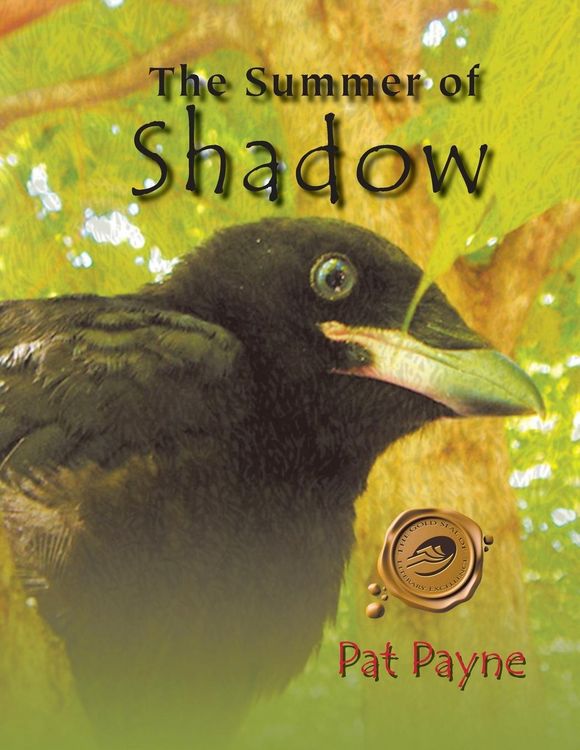 Produktbild: The Summer of Shadow