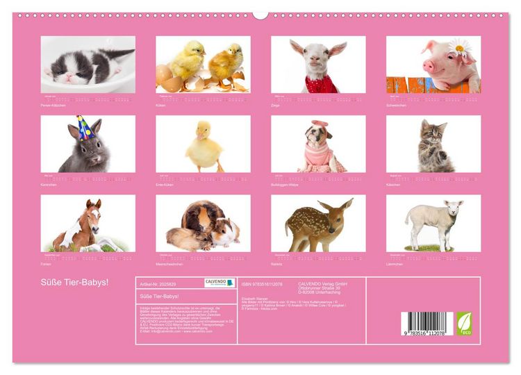 Produktbild: S&uuml;&szlig;e Tier-Babys! (hochwertiger Premium Wandkalender 2026 DIN A2 quer), Kunstdruck in Hochglanz