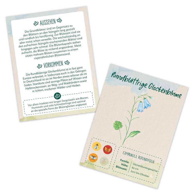 Produktbild: Lass es bl&uuml;hen - Wildblumen und Bienenblumen erkennen, inkl. Sament&uuml;tchen