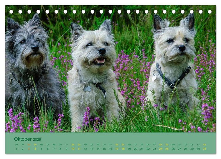 Produktbild: Cairns Forever (Tischkalender 2026 DIN A5 quer), CALVENDO Monatskalender