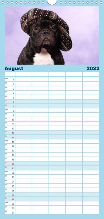 Produktbild: Bullys - Franz&ouml;sische Bulldoggen 2022 - Familienplaner hoch (Wandkalender 2022 , 21 cm x 45 cm, hoch)