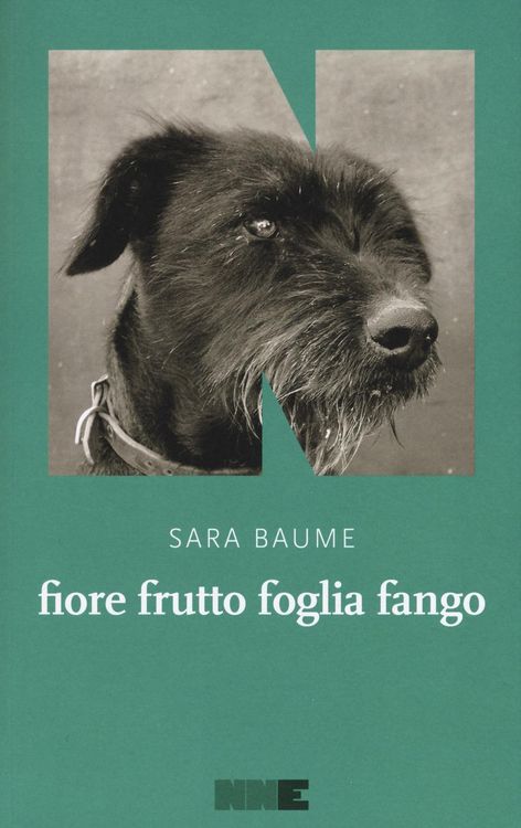 Produktbild: Fiore frutto foglia fango