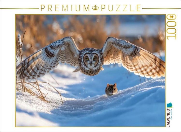 Produktbild: CALVENDO Puzzle Eine Sumpfohreule gleitet durch den Winter | 1000 Teile Lege-Gr&ouml;&szlig;e 64x48cm Foto-Puzzle f&uuml;r gl&uuml;ckliche Stunden