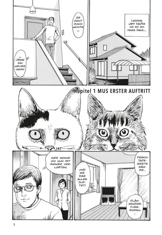 Produktbild: Junji Itos Katzentagebuch
