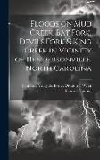 Produktbild: Floods on Mud Creek, Bat Fork, Devils Fork & King Creek in Vicinity of Hendersonville, North Carolina