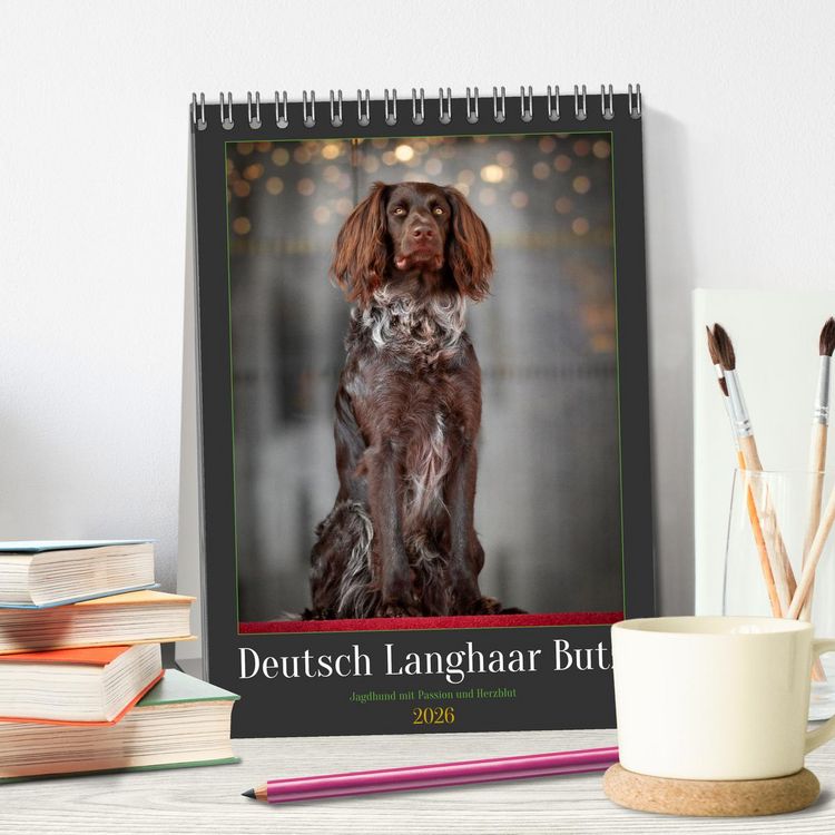 Produktbild: Deutsch Langhaar Butz - Jagdhund mit Passion und Herzblut (Tischkalender 2026 DIN A5 hoch), CALVENDO Monatskalender