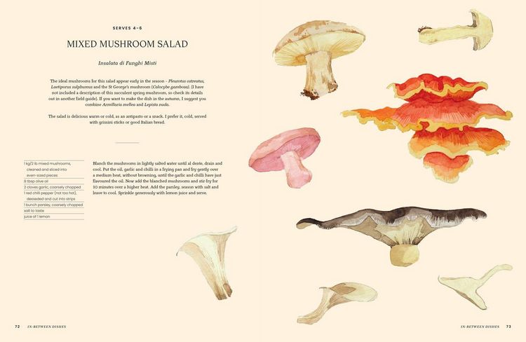 Produktbild: A Passion for Mushrooms