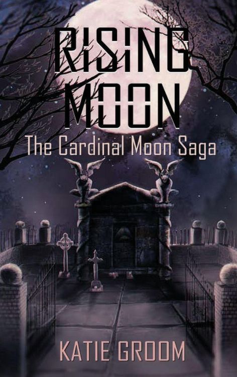 Produktbild: Rising Moon