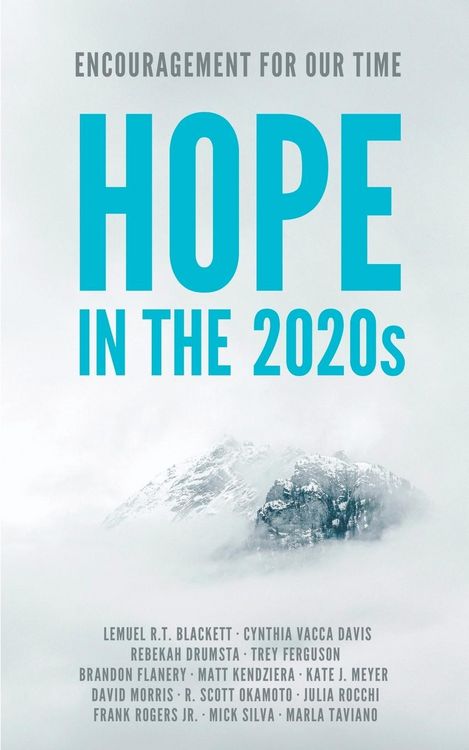 Produktbild: Hope in the 2020s