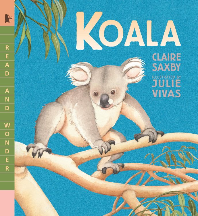 Produktbild: Koala