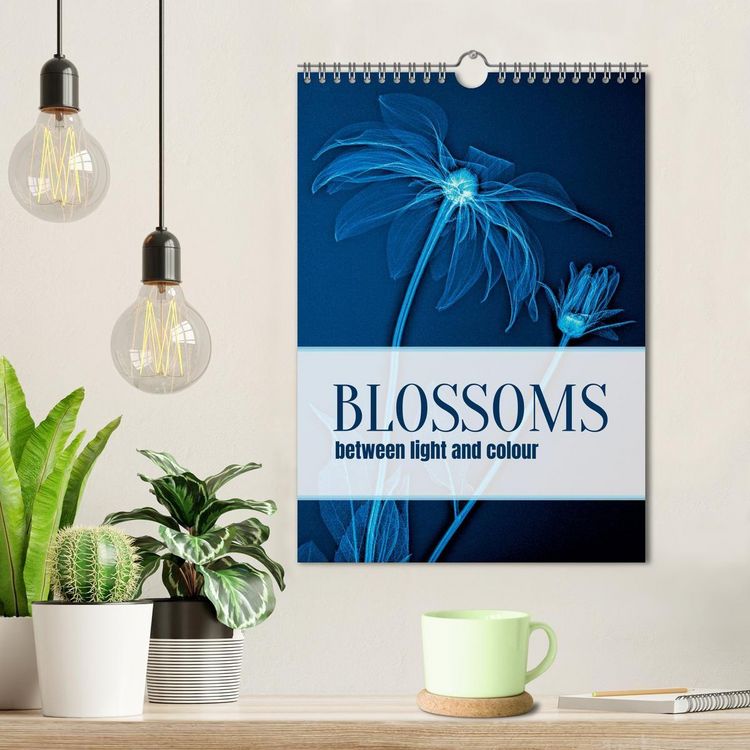 Produktbild: Blossoms between light and colour (Wall Calendar 2027 DIN A4 portrait), CALVENDO 12 Month Wall Calendar