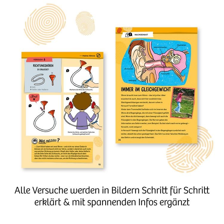 Produktbild: Mein erster Experimentierkasten K&ouml;rper & Sinne