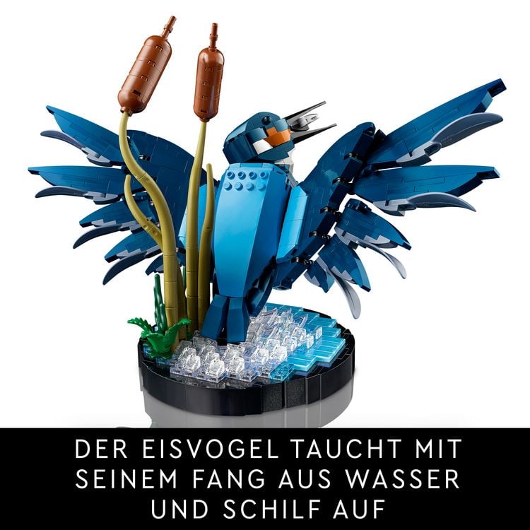 Produktbild: LEGO Icons 10331 Eisvogel, Vogel-Modell als Zimmer- oder B&uuml;ro-Deko