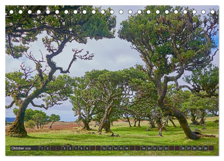 Produktbild: Madeira - Juwel im Atlantik (Tischkalender 2026 DIN A5 quer), CALVENDO Monatskalender