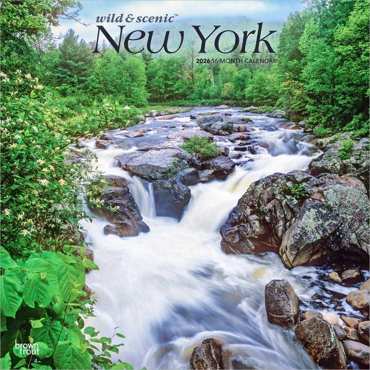Produktbild: New York Wild & Scenic 2026 12 X 24 Inch (Hanging) Monthly Square Wall Calendar Plastic-Free