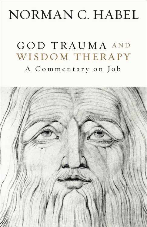 Produktbild: God Trauma and Wisdom Therapy
