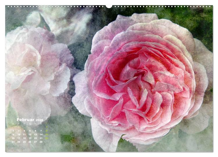 Produktbild: Rosen Romantik (Wandkalender 2026 DIN A2 quer), CALVENDO Monatskalender