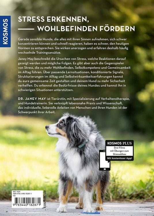 Produktbild: Stur oder &uuml;berfordert?
