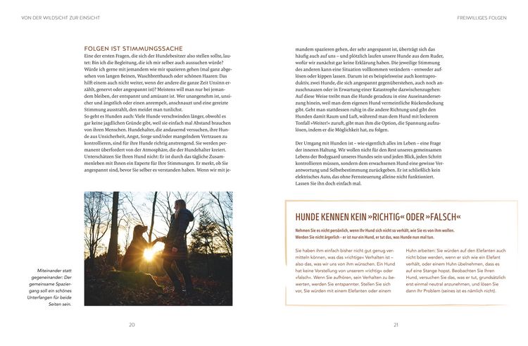 Produktbild: Leinen los! Freilauftraining f&uuml;r den Hund