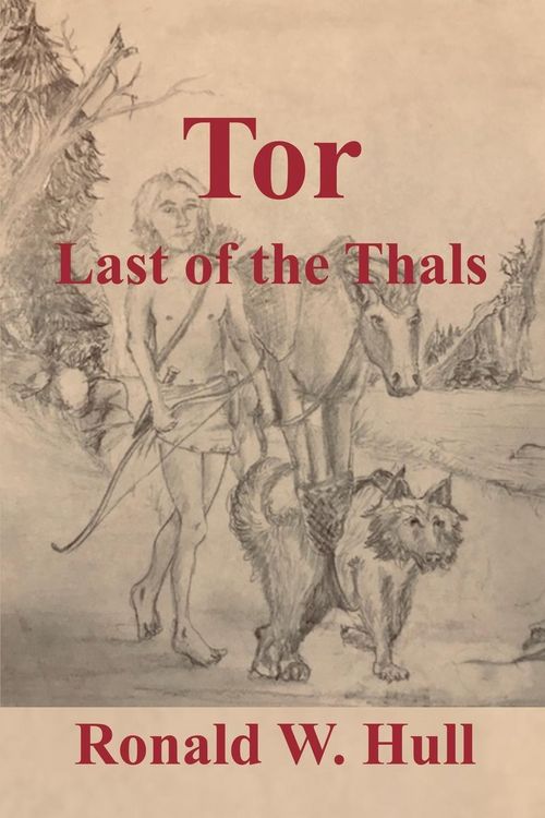 Produktbild: Tor