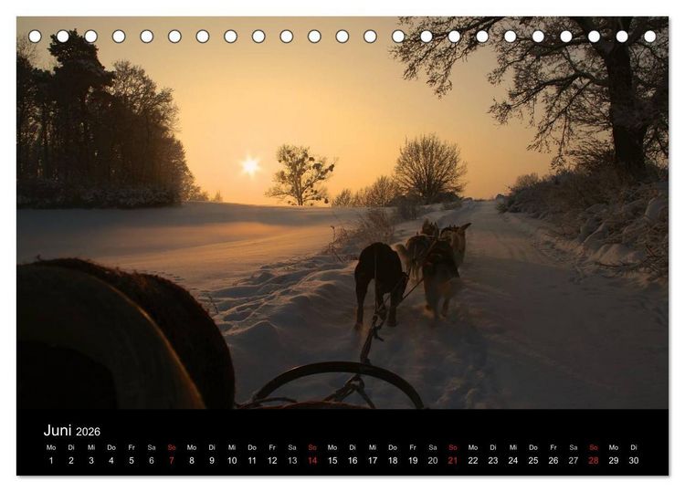 Produktbild: Huskys (Tischkalender 2026 DIN A5 quer), CALVENDO Monatskalender