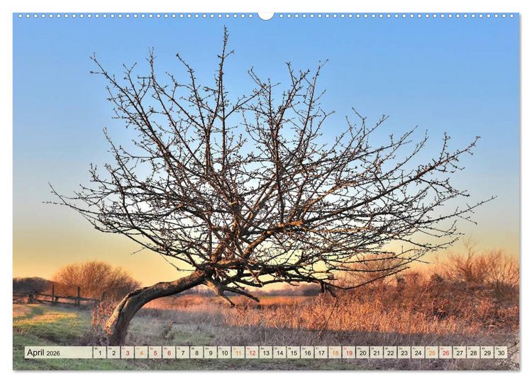 Produktbild: Landschaft an der W&uuml;mme (Wandkalender 2026 DIN A2 quer), CALVENDO Monatskalender