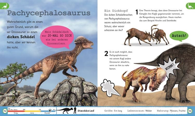Wissen für Vorschulkids. Was weißt du über Dinos?