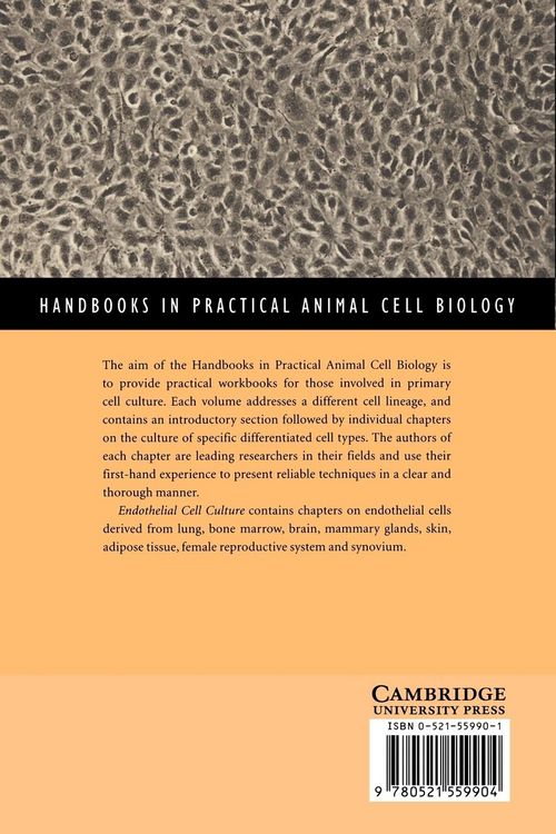 Produktbild: Endothelial Cell Culture