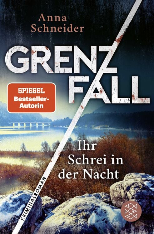 Bild vom Artikel Grenzfall - Ihr Schrei in der Nacht vom Autor Anna Schneider