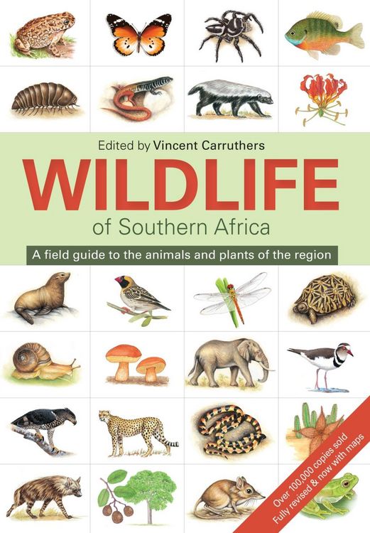 Produktbild: The Wildlife of Southern Africa