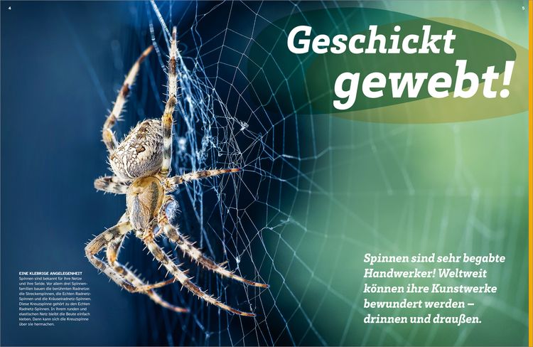 Produktbild: WAS IST WAS Spinnen. Akrobaten auf acht Beinen