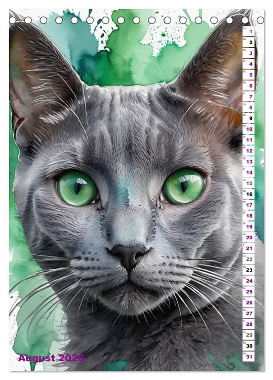 Produktbild: KATZENKALENDER - Aquarell Katzenportraits f&uuml;r Katzenliebhaber (Tischkalender 2026 DIN A5 hoch), CALVENDO Monatskalender