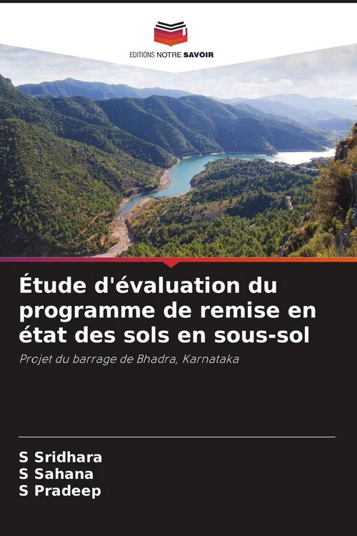 Produktbild: &Eacute;tude d'&eacute;valuation du programme de remise en &eacute;tat des sols en sous-sol
