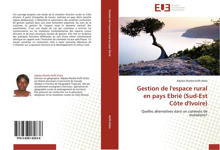 Produktbild: Gestion de l'espace rural en pays Ebri&eacute; (Sud-Est C&ocirc;te d'Ivoire)