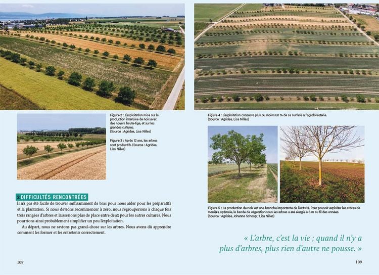Produktbild: La pratique agroforesti&egrave;re en Suisse