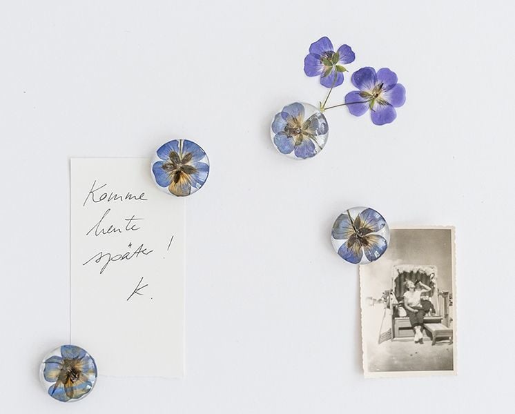 Produktbild: Veilchen, Farn & Ringelblumen