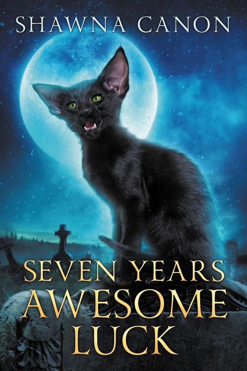 Produktbild: Seven Years Awesome Luck