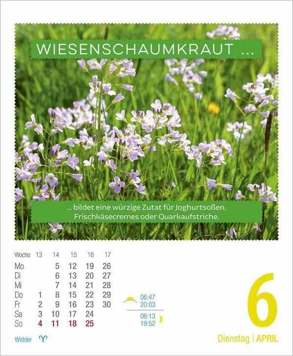 Produktbild: Gesund & Lecker! 2027
