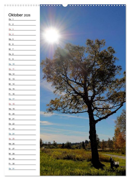 Produktbild: Schwarzwald (Wandkalender 2026 DIN A2 hoch), CALVENDO Monatskalender