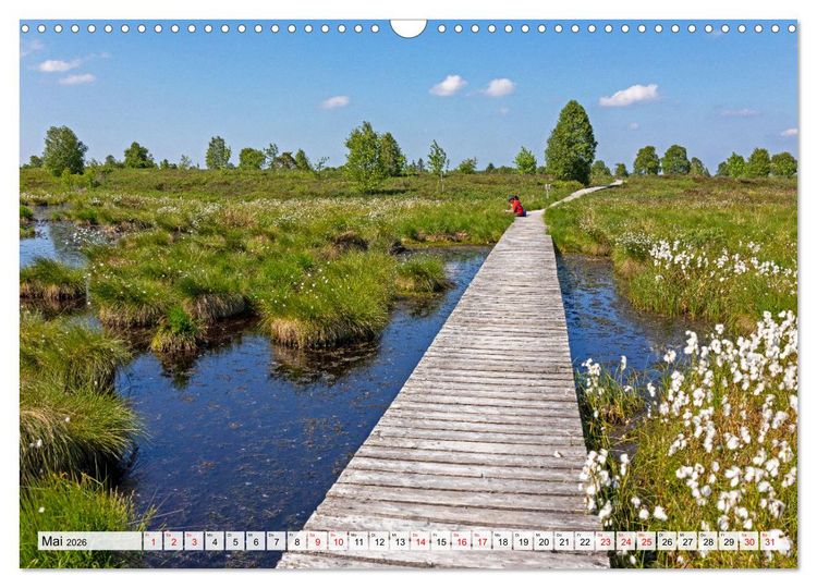 Produktbild: Die Eifel und das Hohe Venn (Wandkalender 2026 DIN A3 quer), CALVENDO Monatskalender