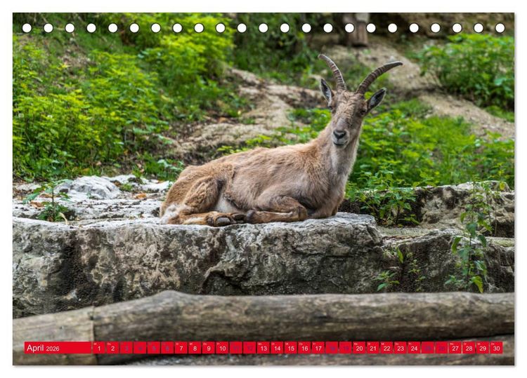 Produktbild: Hallstatt Impressionen (Tischkalender 2026 DIN A5 quer), CALVENDO Monatskalender