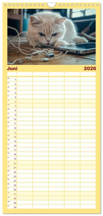 Produktbild: Familienplaner 2026 - Momente eines Katzenbesitzers - Chaos der Samtpfoten mit 5 Spalten (Wandkalender, 21 x 45 cm) CALVENDO