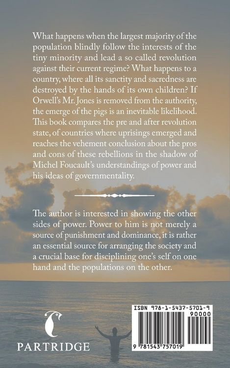 Produktbild: Michel Foucault's Understandings of Power and the Political Crises in Egypt in the Yacoubian Building and Cairo My City, Our Revolution
