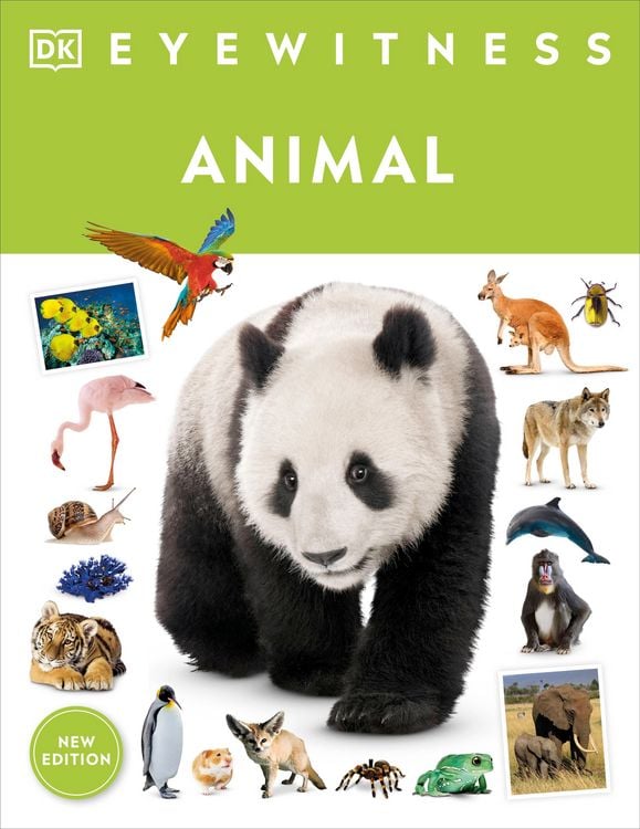 Produktbild: Eyewitness Animal