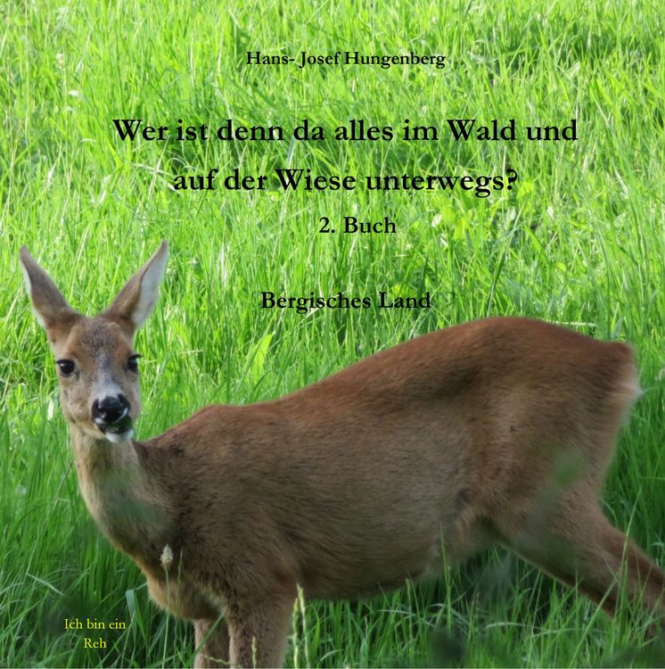 Produktbild: Wer ist denn da alles im Wald und auf der Wiese unterwegs?