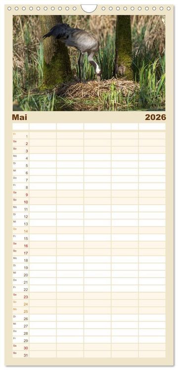 Produktbild: Familienplaner 2026 - Mit Kranichen durch das Jahr mit 5 Spalten (Wandkalender, 21 x 45 cm) CALVENDO